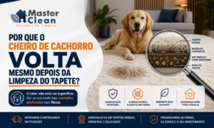 Por Que o Cheiro de Cachorro Volta Mesmo Depois da Limpeza do Tapete?